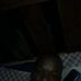 Stephen Sultan - Facebook