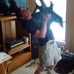 Stephen Sundstrom - Facebook