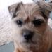 Stephen Symonds - Facebook