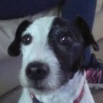Steve K Symonds - @stephen.symonds2 - Instagram
