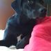 Stephen Szpak - Facebook