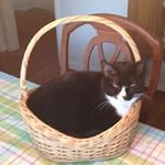 Stephen Szpak Sr. - @stephen_szpak_sr - Instagram