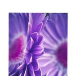 Stephen Talley - @stephenwtalley - Instagram