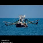 Steven Tarleton - @tarletonsteven - Instagram
