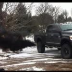 Stephen Tasker - @dieselsmokers - Instagram