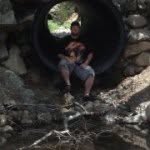 Steven Tauber - @lucky_irish65 - Instagram