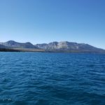 Steven Tefft - @subman_604 - Instagram