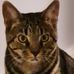 Stephen Thomasson - Facebook