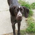 Stephen Max - @stephen.thorley.54 - Instagram