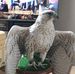 Stephen Thorley - Facebook