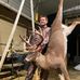 Stevie Throop - Facebook
