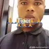 Stephen Tiger - @stephen.tiger8 - TikTok