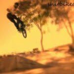 stephen tilbrook - @stevedabud - Instagram
