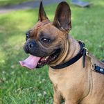 Stephen Tilley - @s.tilley_private - Instagram