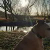 Stefan Timko - @stefan.timko - TikTok