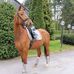 Tenberg Stephan - Facebook