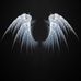Stevie Tousignant - Facebook