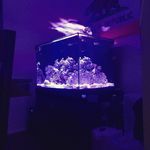 Stephen Trask - @sidsreef - Instagram