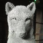 Stephen Travers - @stevet500 - Instagram