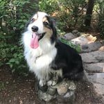 Stephen Travers - @stephen.travers06 - Instagram