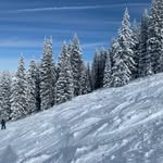 Stephen Trezza - @stephen_trezza - Instagram