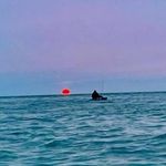 Stephen Triggs - @triggsyfishing - Instagram