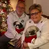 Stephen Triggs - @stephen.triggs - TikTok