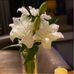Stephen Tsui - Facebook