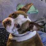 Stephen Underwood - @srudog1256 - Instagram