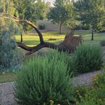 Steven Utley - @bestoperator - Instagram