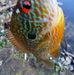 Steven Valiquette - Facebook