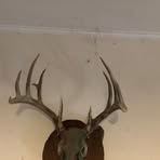 Steven VanMeter - Facebook