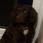 Stephen Venables - Facebook