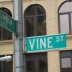 Stephen Vine - @stevevine - Instagram