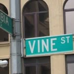 Stephen Vine - @vinestephen7 - Instagram