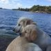 Steve Vogl - Facebook