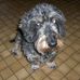 Steve Vogl - Facebook