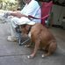Steve Voyles - Facebook