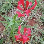 Stephen Waithaka - @stephen.waithaka.52643 - Instagram