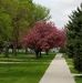 Steven Waldner - Facebook