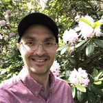 Stephen Wallace - @stephenmarkw - Instagram
