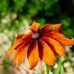 Steve Lindsay - @stephen_walter_lindsay - Instagram