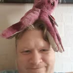 Stephen Ward - Facebook