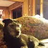 stephenward835 - @stephenward835 - TikTok