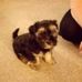 Steve Warman - Facebook