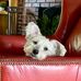 Stephen Warshaw - Facebook