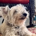 Stephen Warshaw - @stephenwarshaw - Instagram