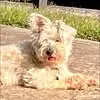stephenwarshaw - @stephen.warshaw - TikTok