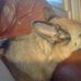 Steve Warshaw - Facebook