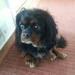 Stephen Waters - @stephenwaters78 - Instagram